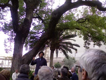 Interno Osp. Incurabili_Chiostro con albero secolare 2